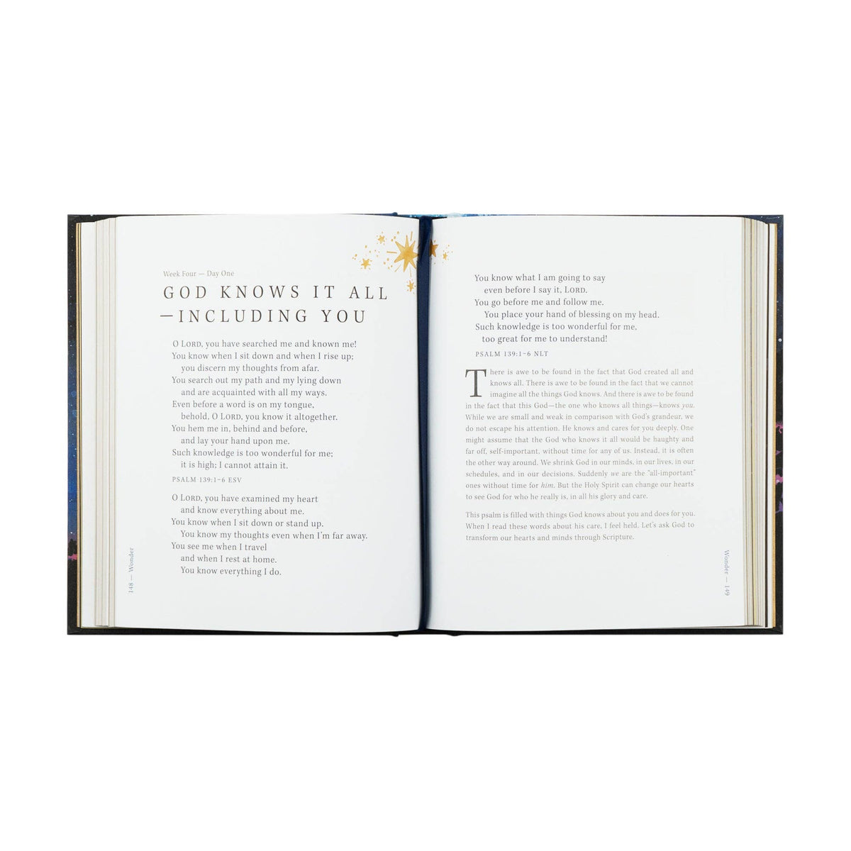 Bible Study: Wonder by Alicia Hamilton