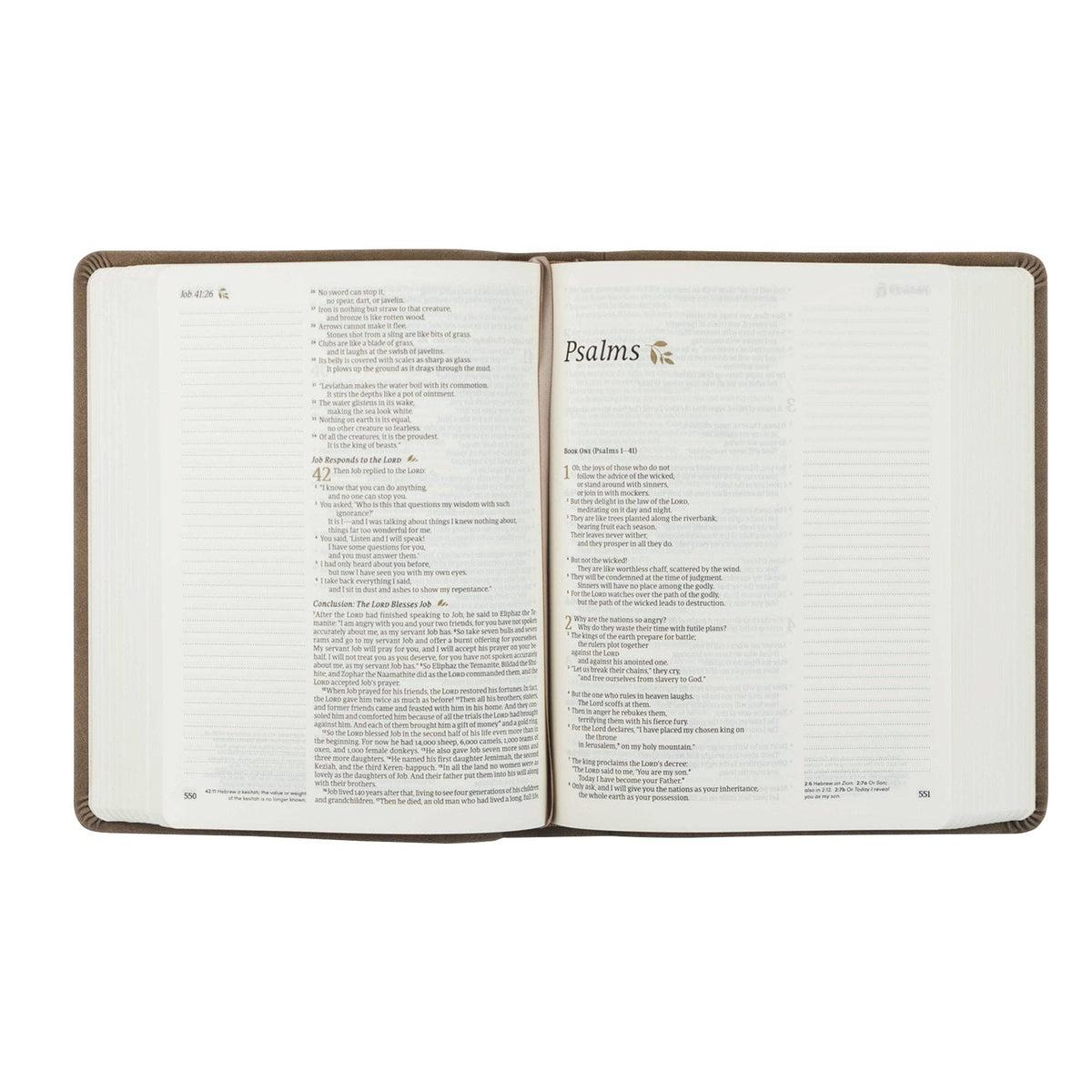 NLT Notetaking Bible: Marlo Theme