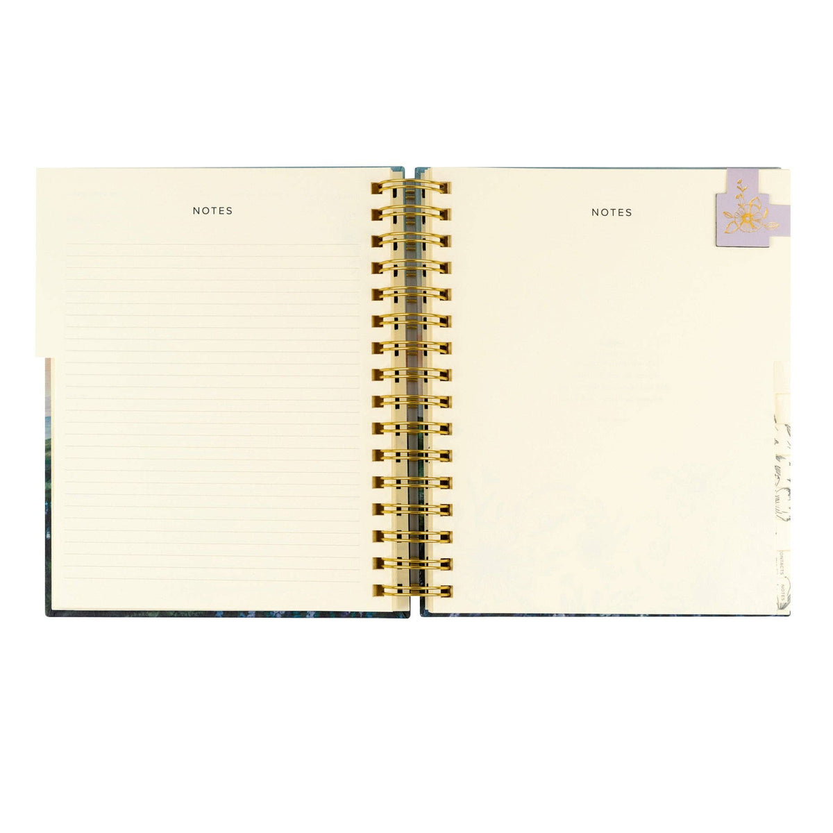 12-Month Undated Planner: Iceland Theme, Spiral