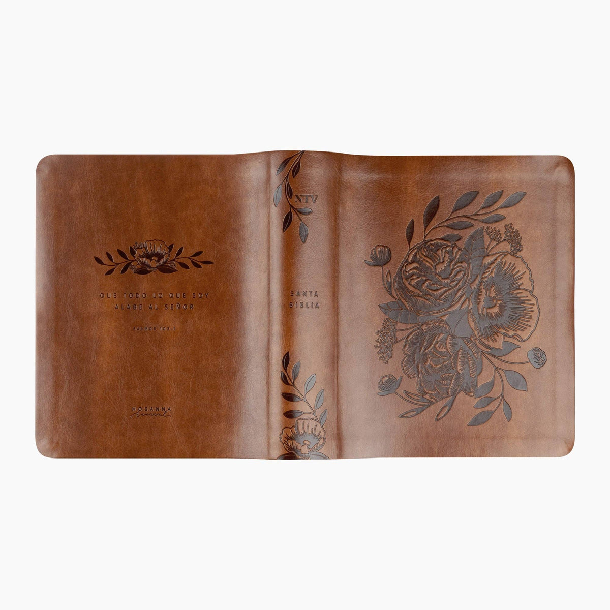 NTV Spanish Notetaking Bible: Aurora Theme