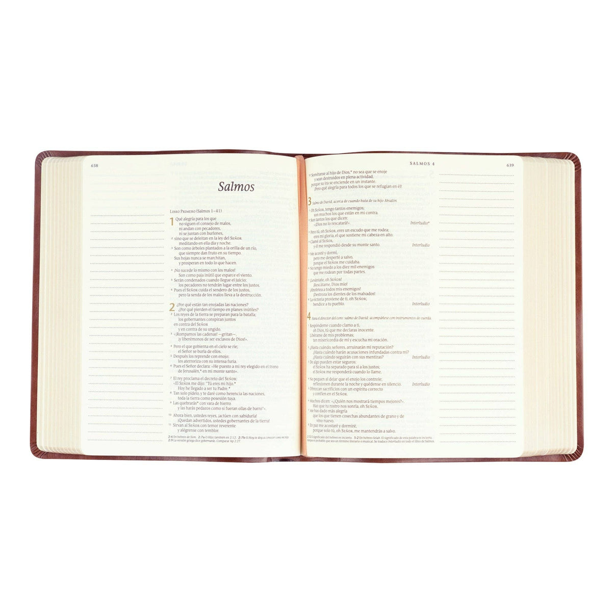 NTV Spanish Notetaking Bible: Aurora Theme